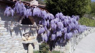 Trattoria Del Bivio - Cerretto Langhe - 2