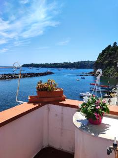 La casa di Nonna Rosa - Procida - 2