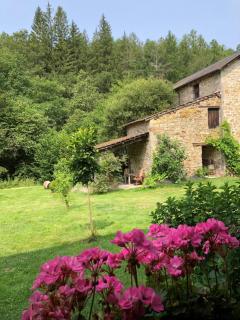 Le Moulin de la Farge B&B - Saint-Moreil - 8