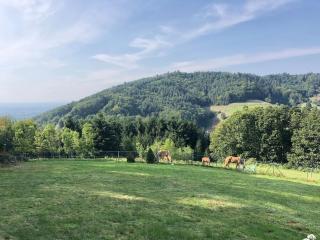 Top ausgestattete Wohnung in Traumlage mit grandioser Aussicht - Bühlertal - 8