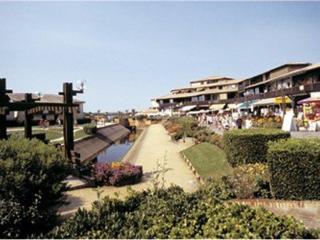 Appartement T2 Cabine au bord du lac, 6 pers, animaux admis - FR-1-379-24 - Vieux-Boucau-les-Bains - 3
