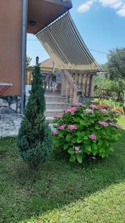 Apartmani "Dukic" - Pelinovo - 9