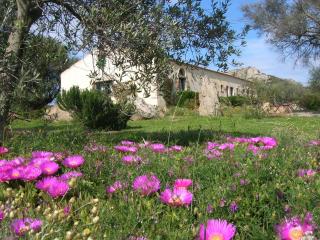 La MeSenda Rooms & Apartments - Arzachena - 7
