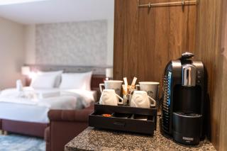 HOTEL CRYSTAL WELLNESS & SPA superior - Sovata - 1
