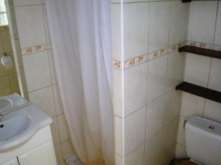 vacances en provence cyprès - 4