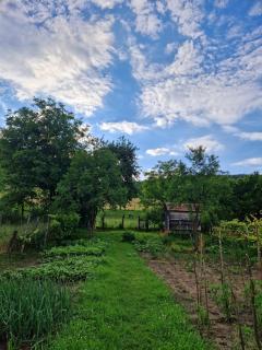 FLORESTI HOUSE 21 - 8