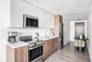 Central Sq Studio w Gym WD Roof nr T BOS-616 - 5