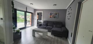 Coqueto apartamento al lado de Cangas de Onis - Avín - 4