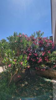 Apartman Moni - 2