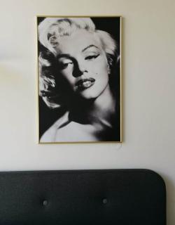 Hollywood Dream - - 5