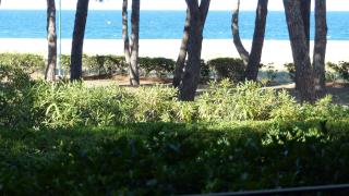 BELLE VUE AU CALME SUR LA PLAGE - Argelès-sur-Mer - 5
