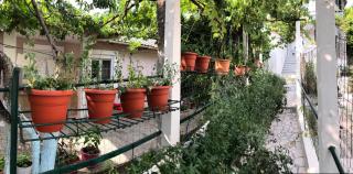 Lili's House - Delvinë - 3