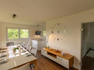 Holiday Home Schwarzwald by Interhome - Dittishausen - 1