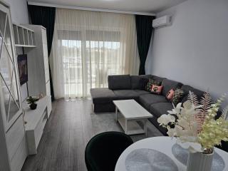 Apartament Cristal - Arad - 6