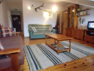 Apartamento Bielva - Bielva - 8