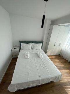 Lovely Cozy Apartments in Central Suceava - Suceava - 3