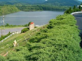 Hampton Inn Caryville-I-75/Cove Lake-State Park - Caryville - 1
