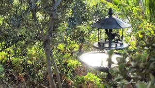 Capon Cottage - Broken Hill - 3