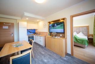 Aparthotel Ramsau - Ramsau am Dachstein - 8