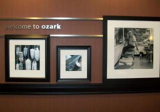 Hampton Inn Ozark - Ozark - 4