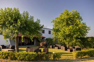 Agri Charme Tenuta Picilli - 6