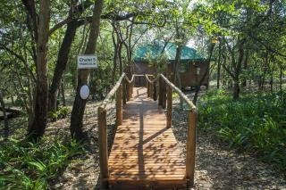 Tranquil Nest - Hazyview - 9