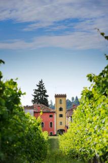 Villa Clementina - Prosecco Country Hotel - San Pietro di Feletto - 5