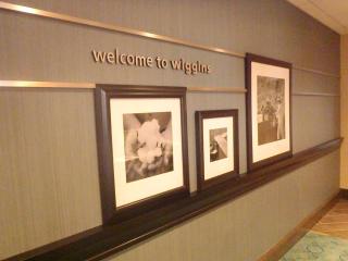 Hampton Inn & Suites Wiggins - Wiggins - 8