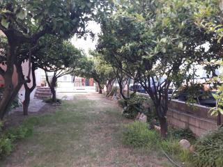 Casa Annita - San Teodoro - 9