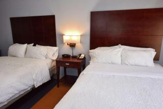Hampton Inn Alexander City - Alexander City - 0