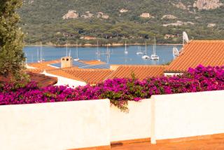 trilocale con piscina - Arzachena - 2