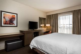 Hampton Inn Myrtle Beach West - Myrtle Beach - 3