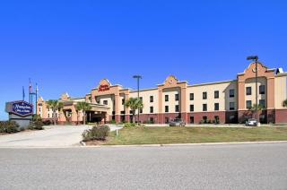 Hampton Inn and Suites New Iberia - New Iberia - 8