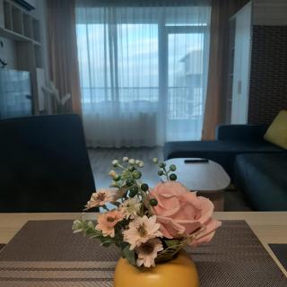Summerland Sea View Apartment - Mamaia - 4