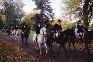 Hampton Inn Geneseo - 9