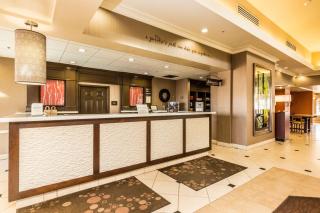 Hilton Garden Inn St. George - St. George - 6