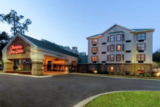 Hampton Inn & Suites Tampa-North - Tampa - 0
