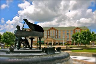 Hilton Garden Inn Albany - Albany - 9