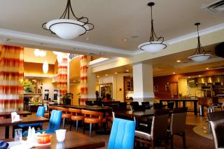 Hilton Garden Inn Albany - Albany - 1