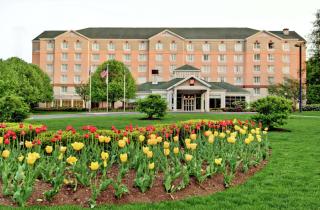 Hilton Garden Inn Albany Airport - 0