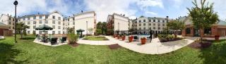 Homewood Suites by Hilton Columbia - Columbia - 9