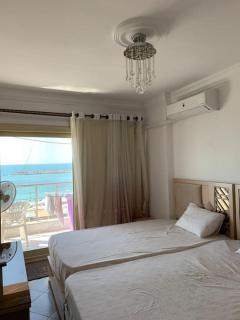 Luxury apartment (Families or same gender only) - Alessandria d'Egitto - 7