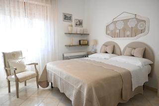 La Mimosa - Bolgheri - 4