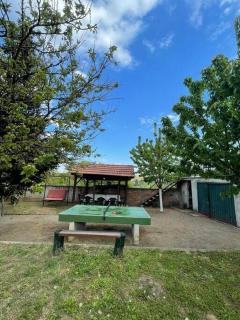 Vikendica S, Alibegovac - Petrovaradin - 1