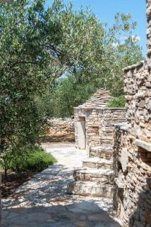 Trapula stone paradise - Maslinica - 1