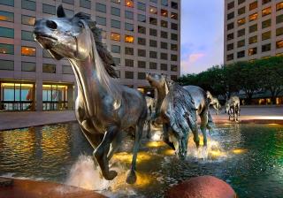Hilton Garden Inn DFW Airport South - 7