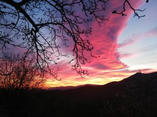 Casa corasol, a cozy, comfy, 2BR house- panoramic view and rooftop - 3