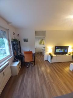 Apartment Jarun Comfort - Zagreb - 3