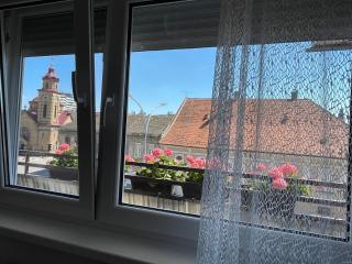 Sunny apartment - Vršac - 9