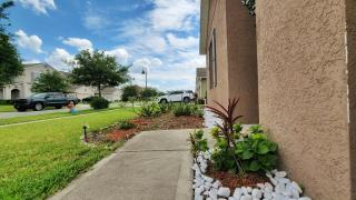 Cozy Room near Disney - 1